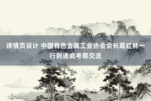 详情页设计 中国有色金属工业协会会长葛红林一行到通威考察交流