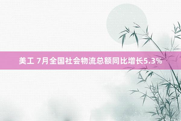 美工 7月全国社会物流总额同比增长5.3%