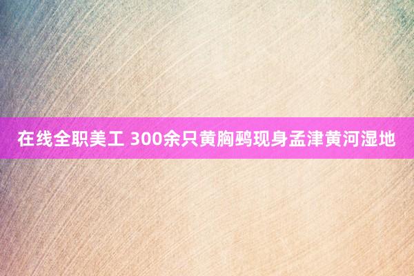 在线全职美工 300余只黄胸鹀现身孟津黄河湿地